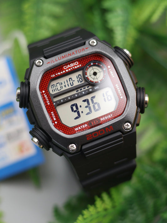 CASIO DW-291H-1BVDF